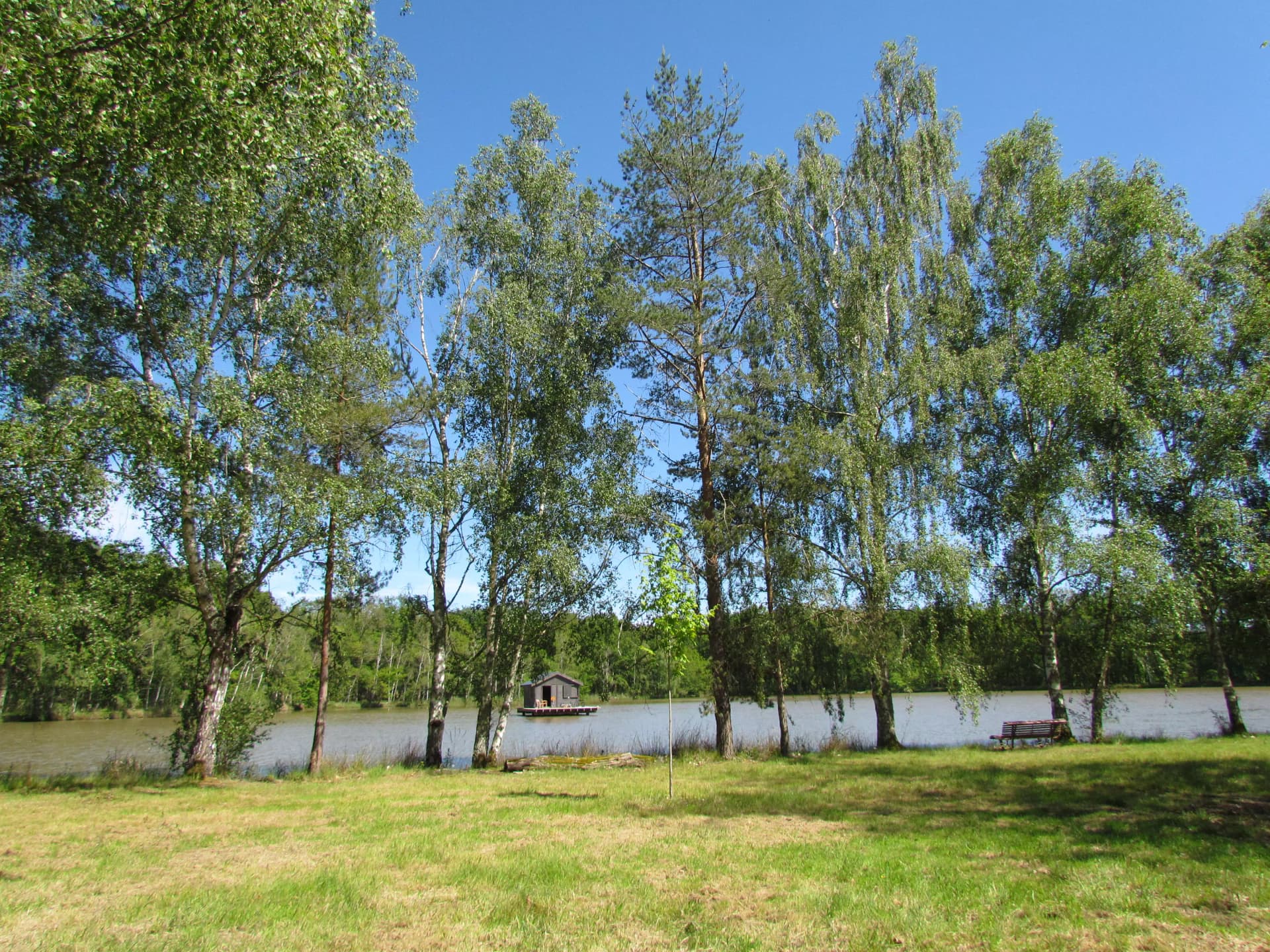 Etang de la propriété